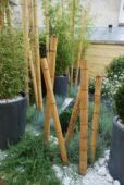 Décoration_bambou.jpg
