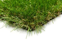 Gazon_synthetique_épais.jpg
