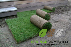 imageonline-co-logoadded (99).png