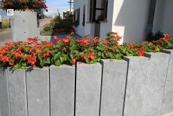 Monja palissade 2.jpg