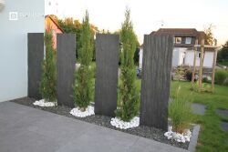 Stella palissade.jpg