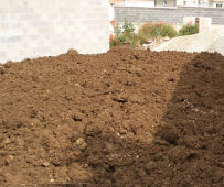 terre-vegetale-00 copie.jpg