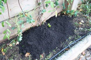 compost-0-10.jpg