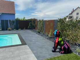 Corten Thermolaqué Fleur pissenlie.jpg