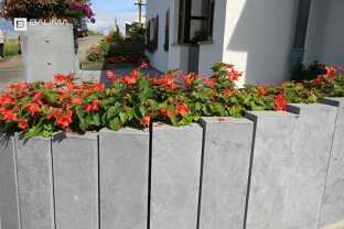 Monja palissade 2.jpg