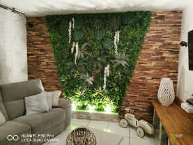 Mur végétalisé + plaquette bois1.jpg