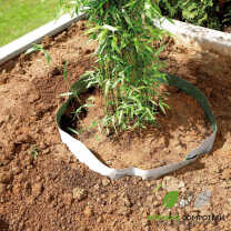 Plantex Racibloc 2.jpg