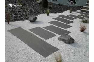 Stella palissade1.jpg