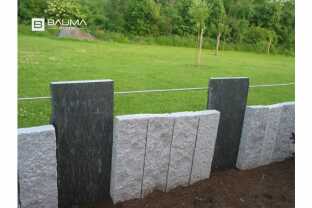 Stella palissade2.jpg