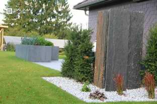 Stella palissade3.jpg