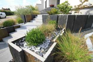 Stella palissade7.jpg